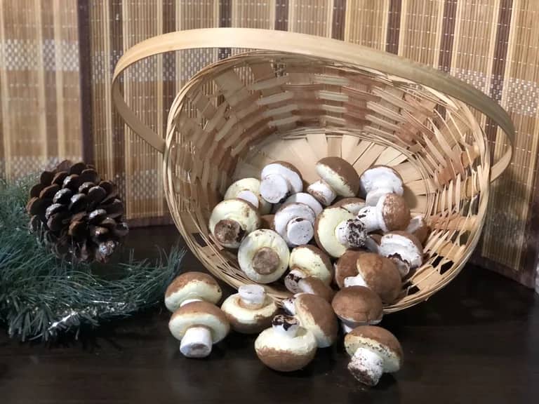 Зефирные грибочки для детей