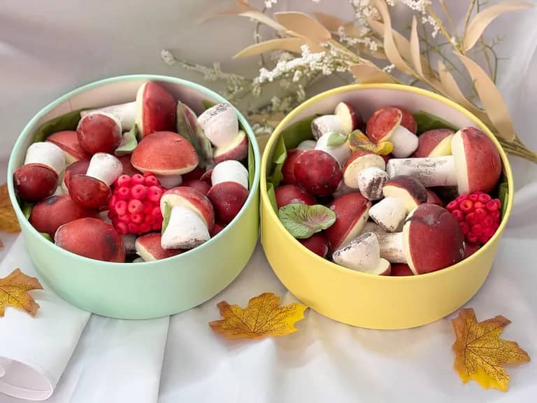 Грибы из зефира в круглой коробочке
